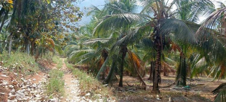 Single Property Image