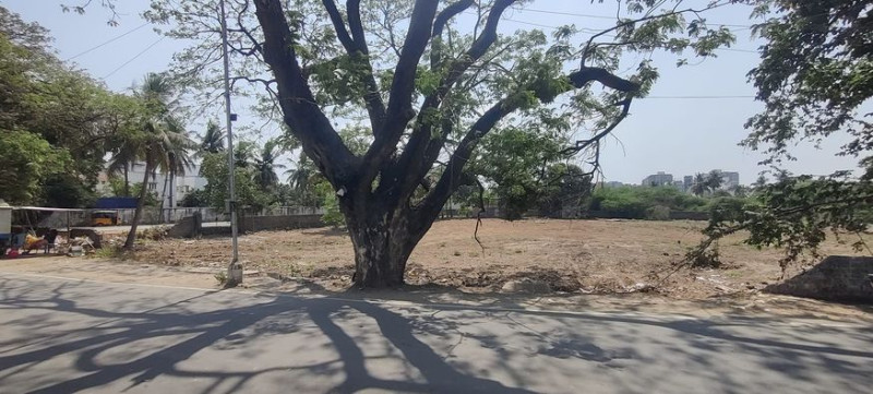 Land for sales