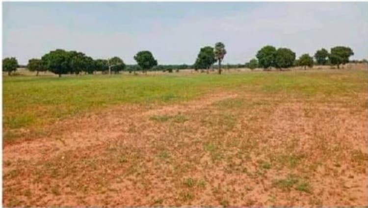 LAND FOR SALE
