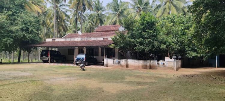 coconut farm land for sale