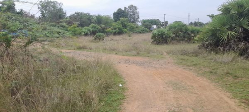 Land sale
