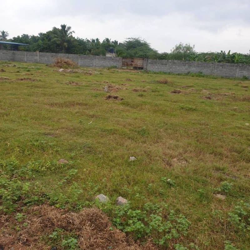 Plot sale