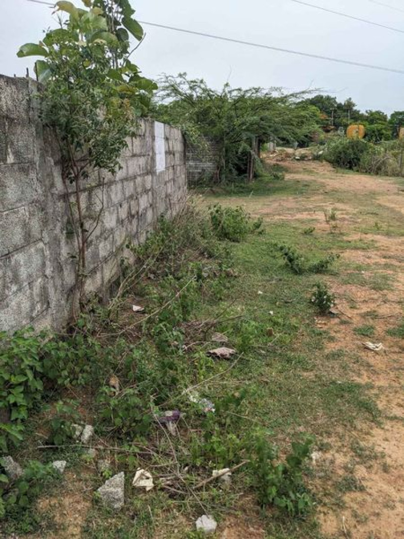 land sale