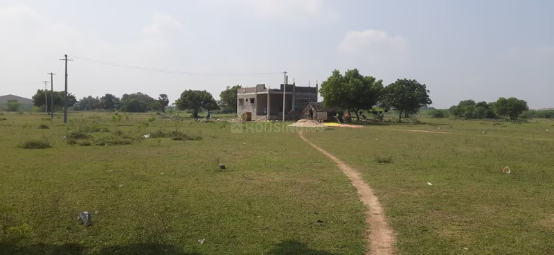 Residential Plot