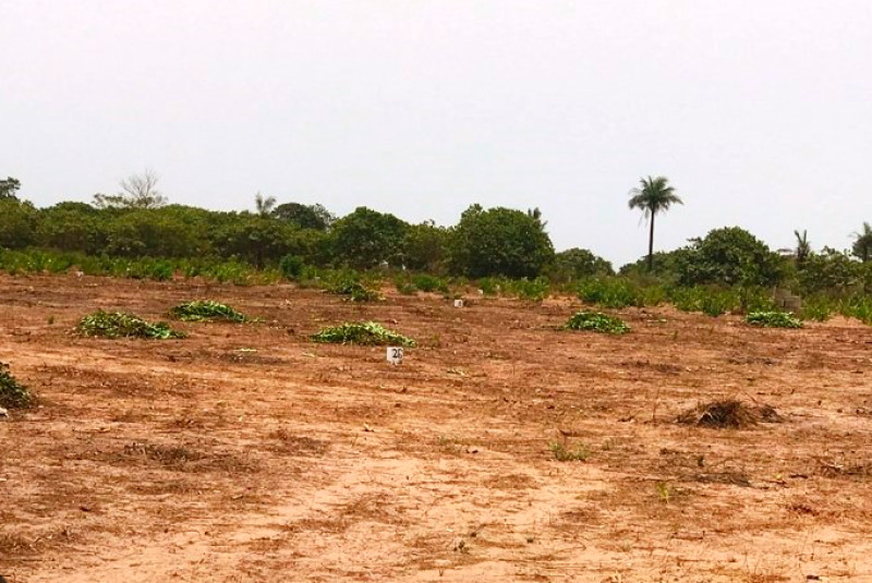 Land for Sale