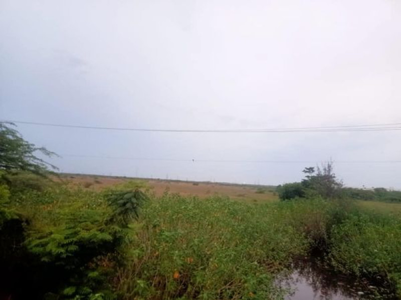 Plot sale