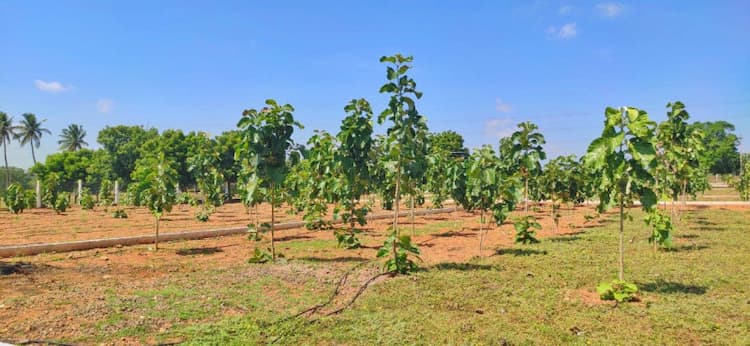 Single Property Image