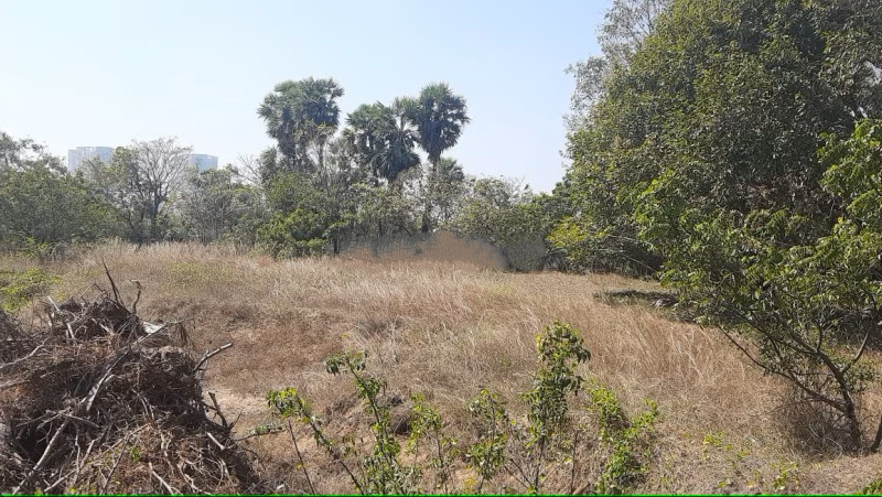 plot for sale