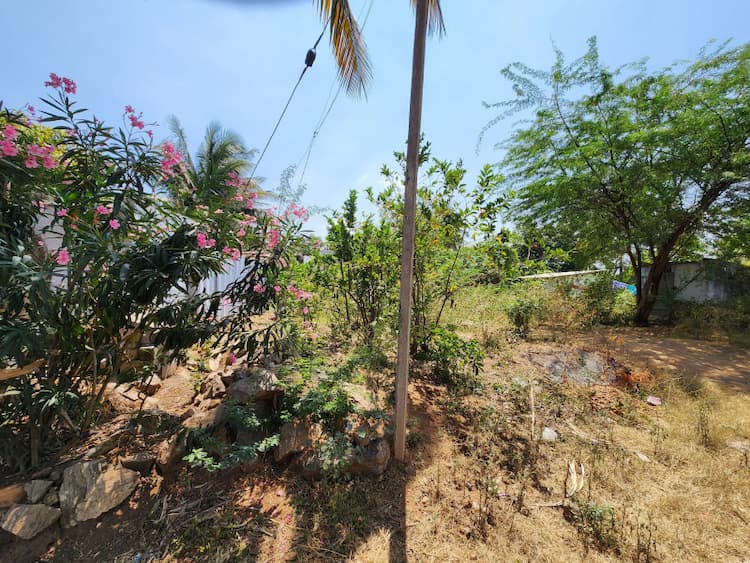 site for sale