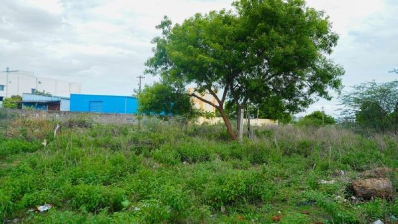 Land sale
