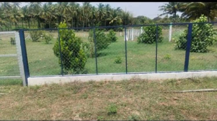 farm land for sale