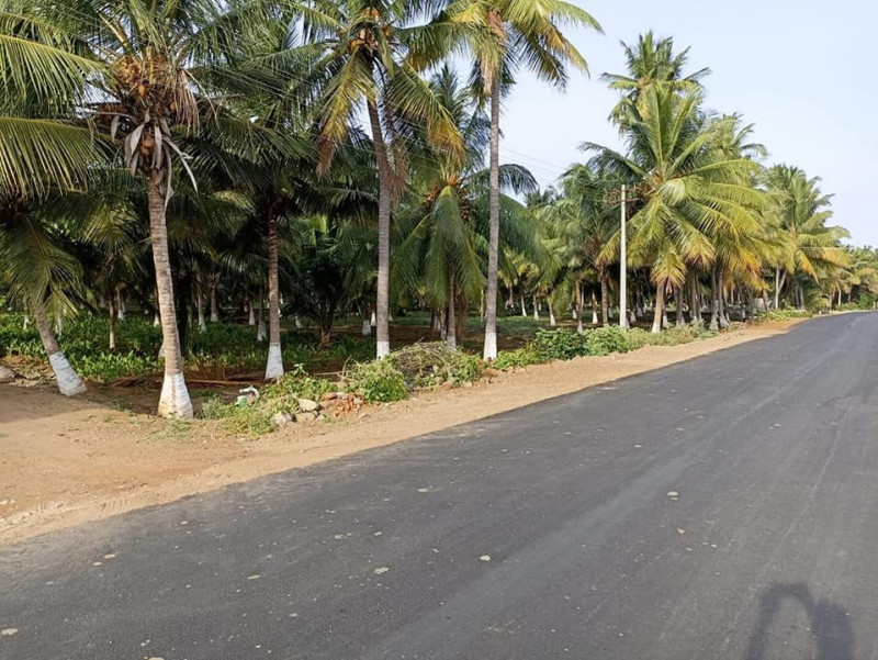 agri land for sale