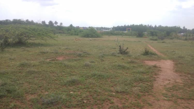 Residential Plot 1900 Sq.ft. for Sale in Periyanaickenpalayam, Coimbatore