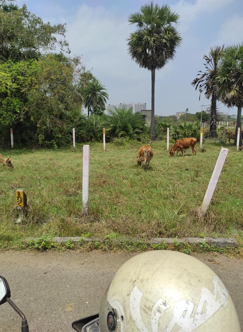 plots for sale
