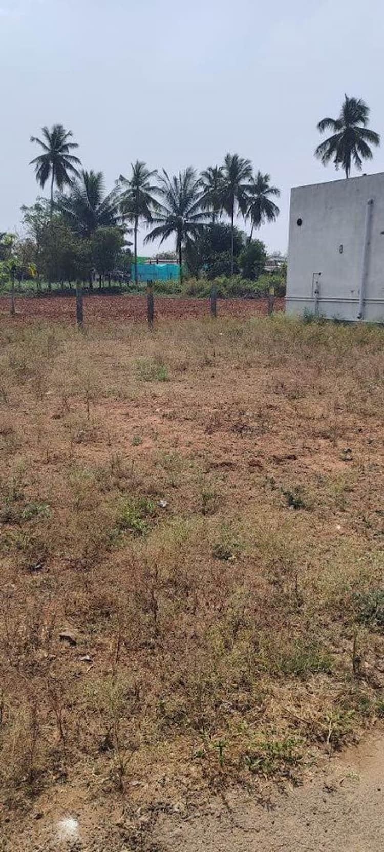 7 cent plot for sale