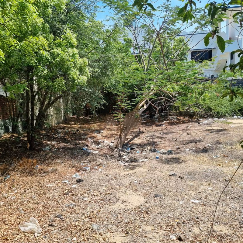 site for sale
