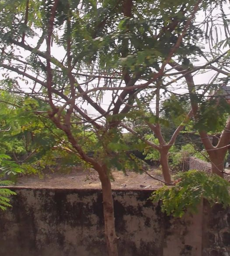 Land for sales