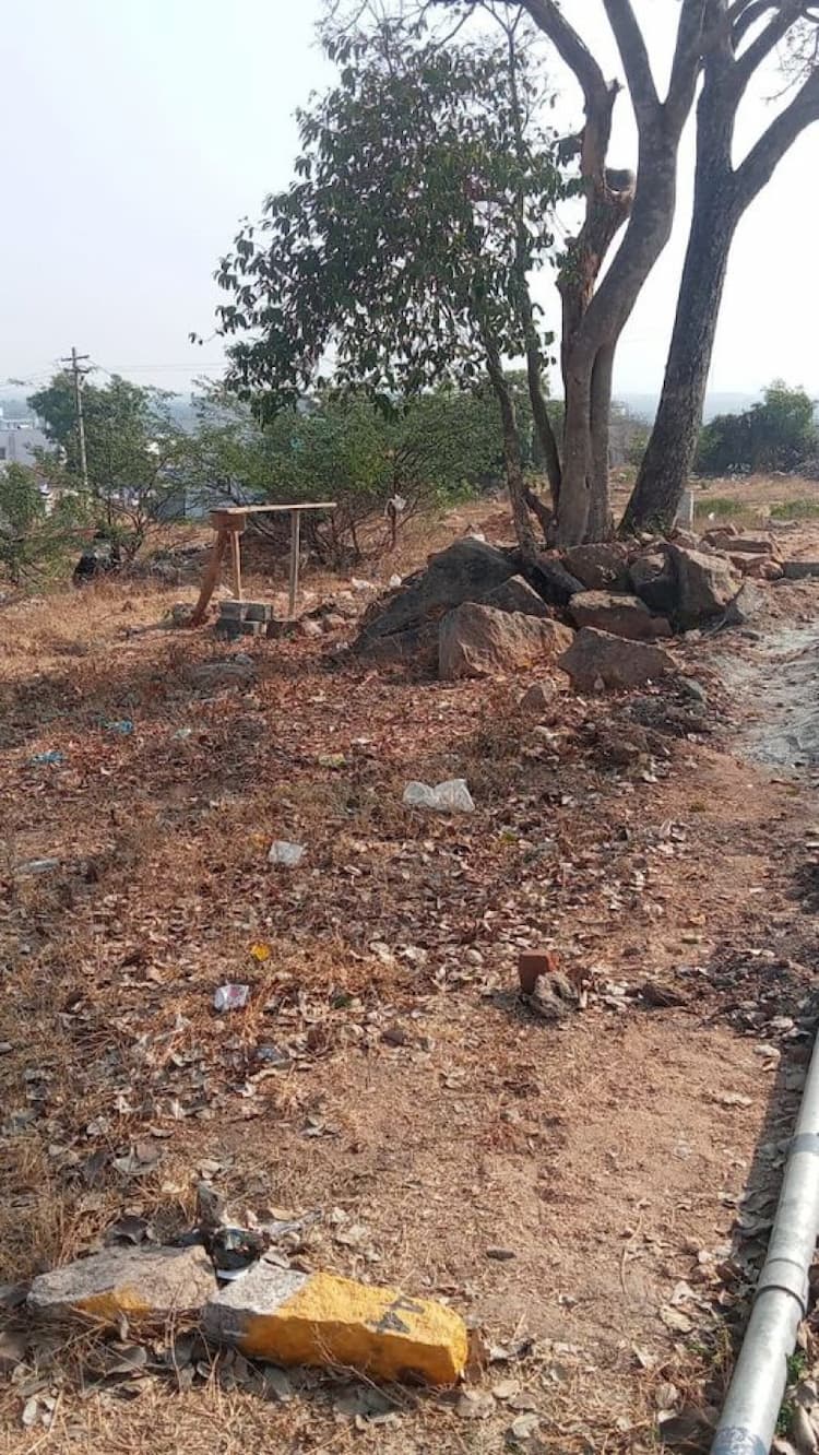 site for sale