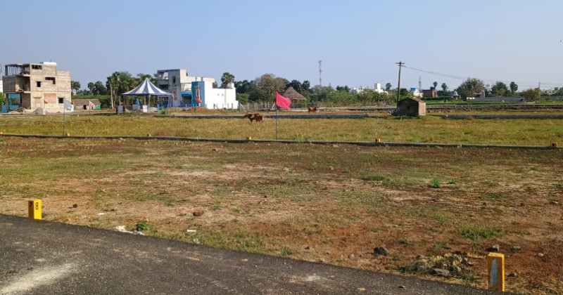 Land for Sale