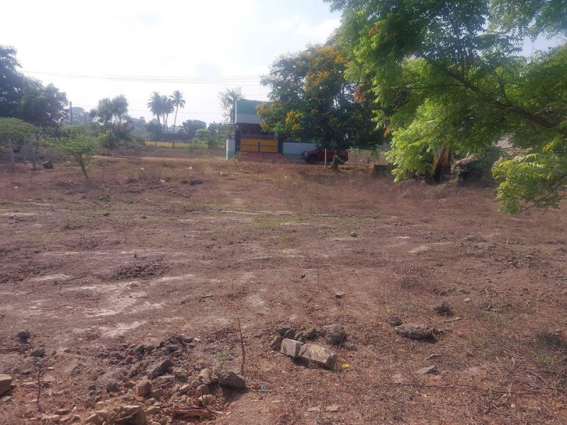 Land for sales