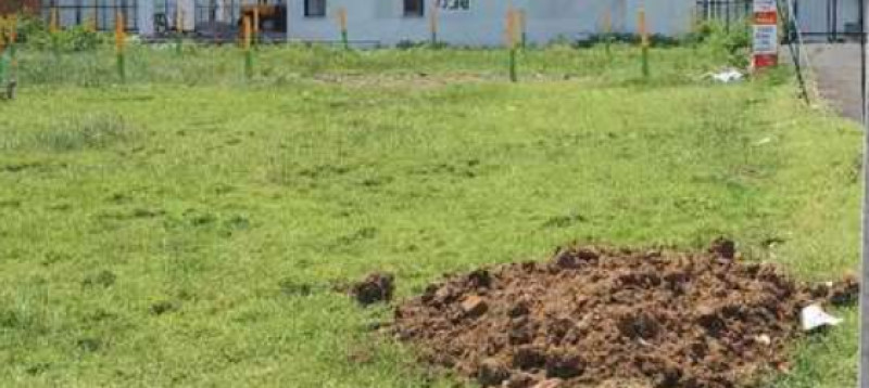 Land for sales