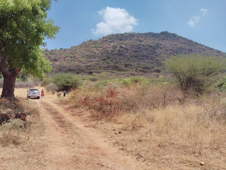 plot for sale