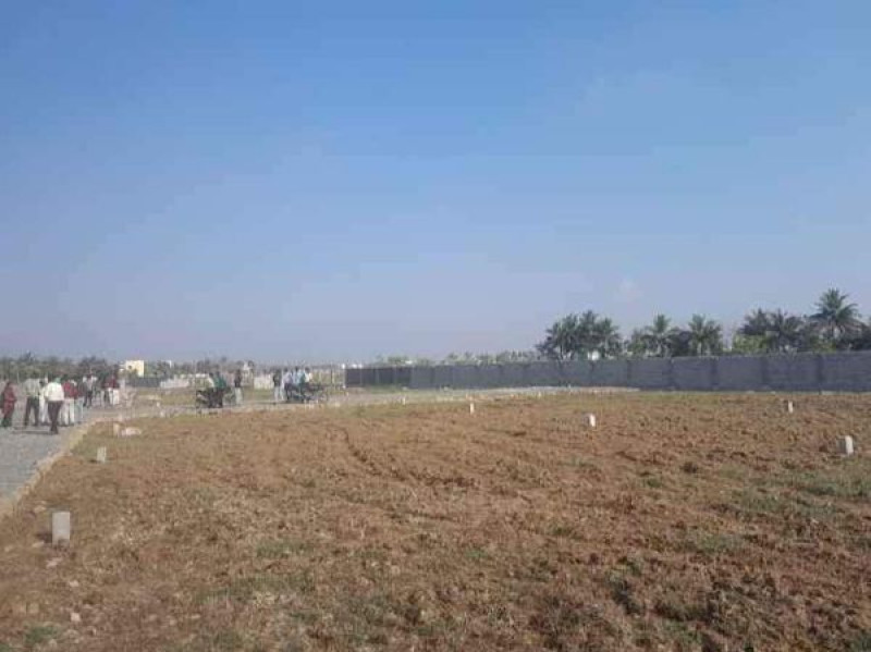 Plot sale