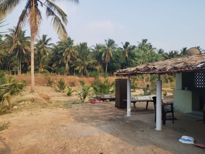 agri land for sale