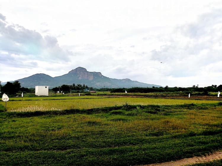 Single Property Image