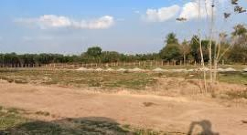 Residential plot