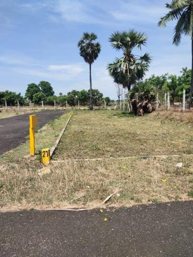 Residential Plot
