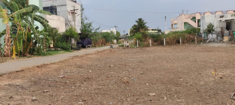site for sale