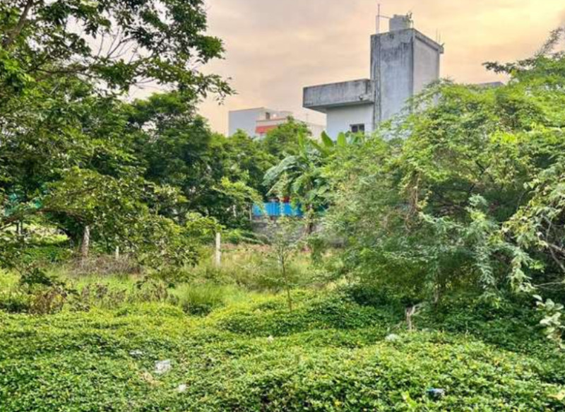 plot for sale