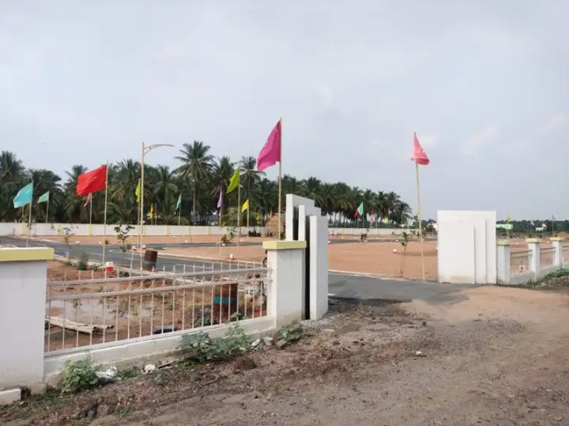 Residential Plot