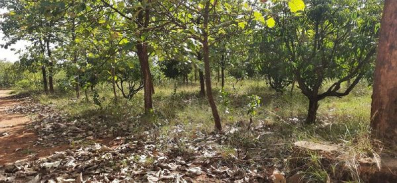 Land sale