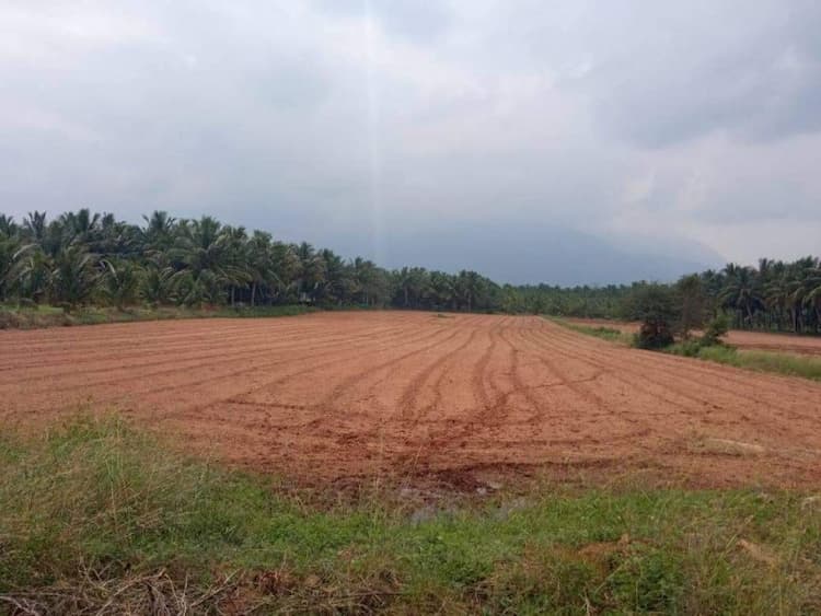 agri farm land for sale