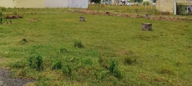 Land for sales