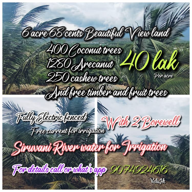 6 acre 68 cent coconut and Arecanut plantation land for sale