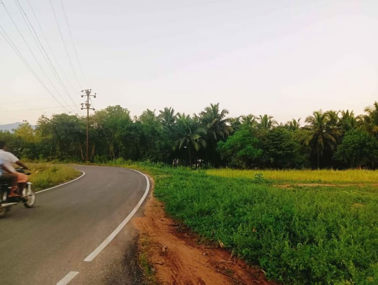 Single Property Image