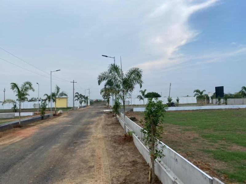 Residential Plot
