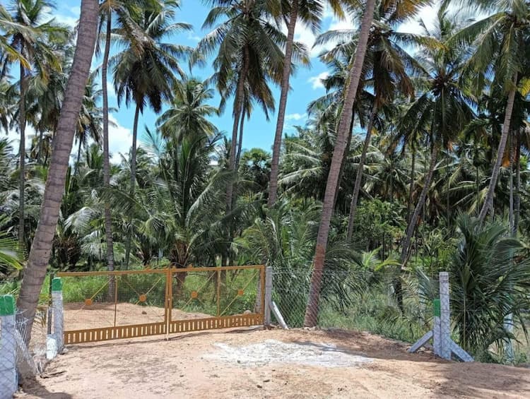 Single Property Image