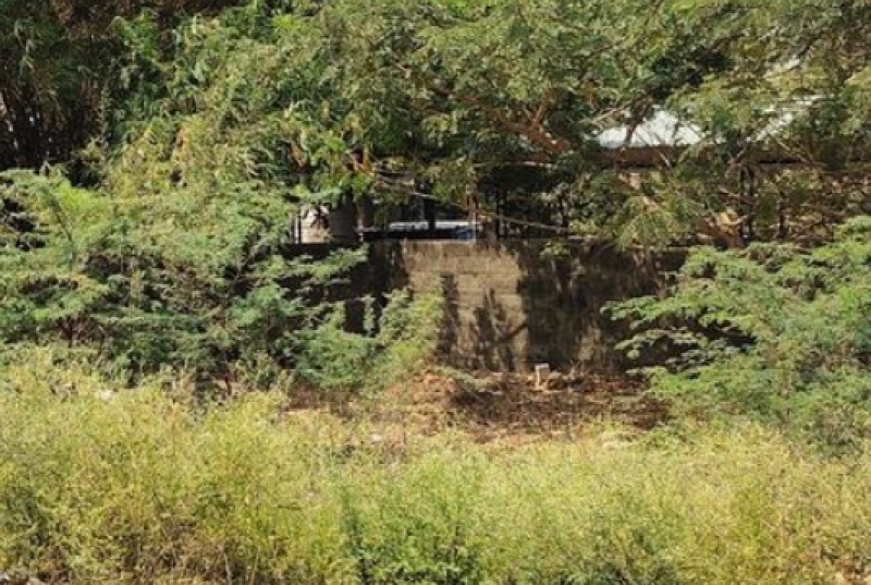 Land for sales