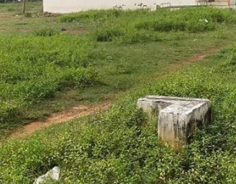 Land for sales