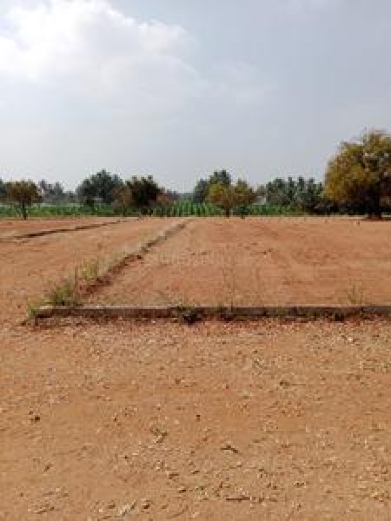 Residential Plot