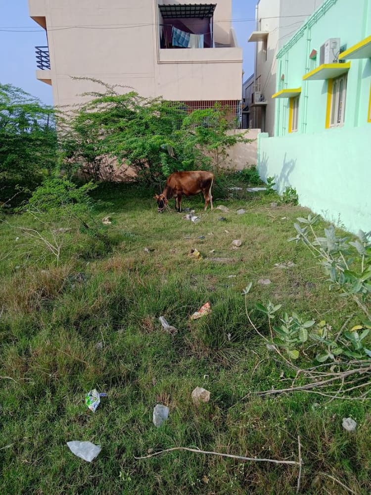 Plot for Sale in Katpadi