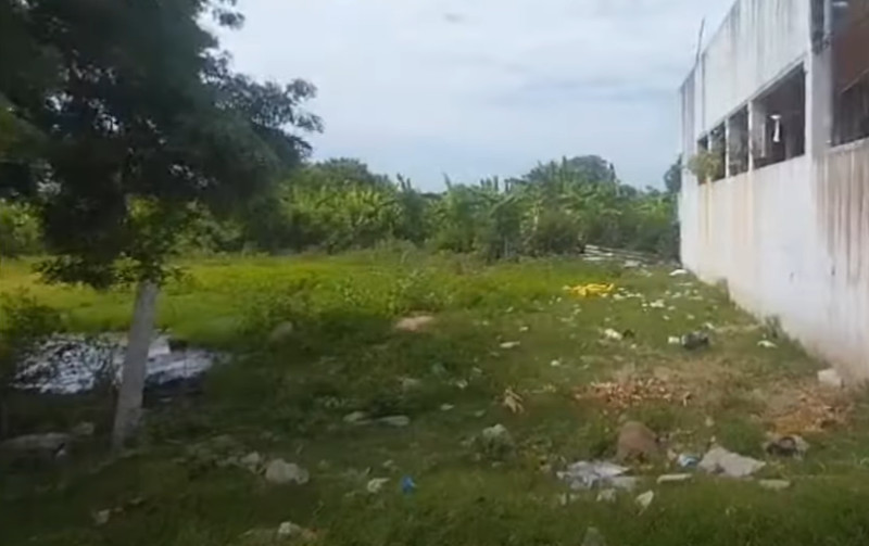 Land for sales