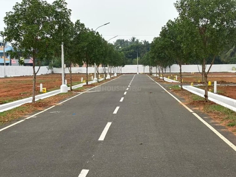 Residential Plot