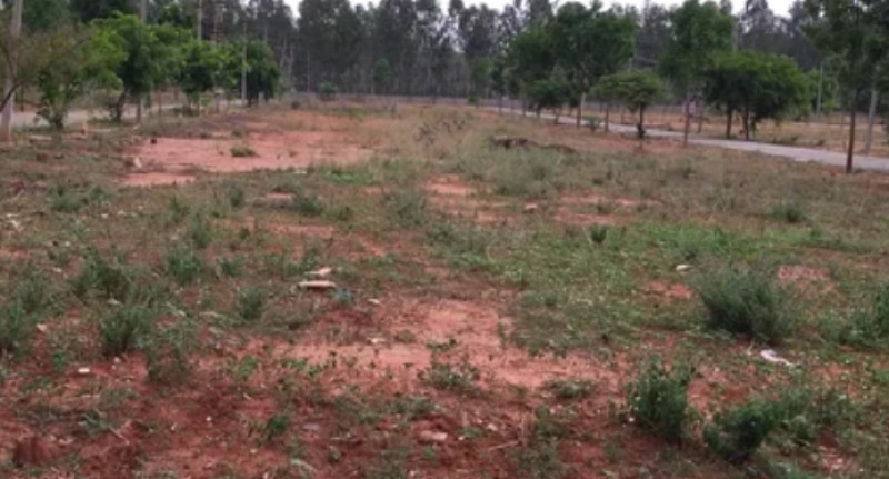 Land for sale