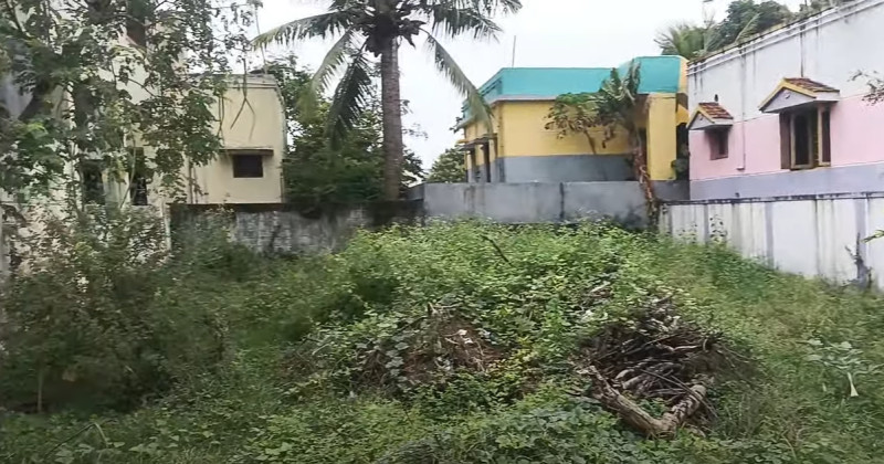 Land for sales