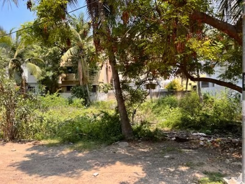 Residential Plot